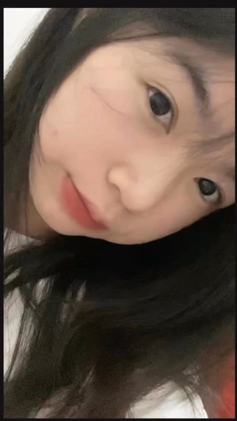 國家干部40集免費全集播放下載