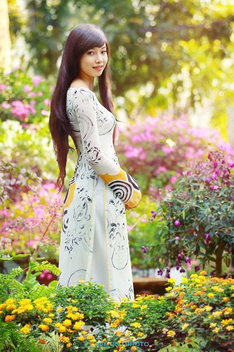 醉生夢(mèng)死之灣仔之虎